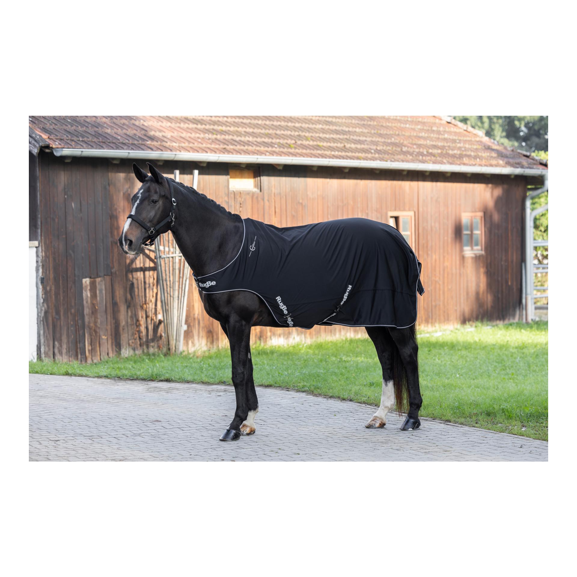 Führanlagendecke RugBe