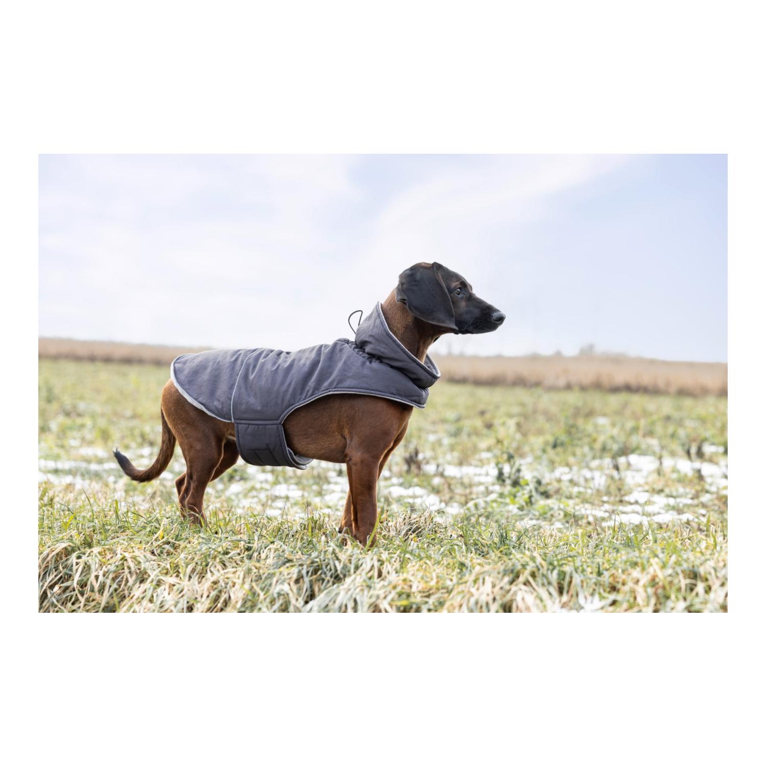 Hundemantel Montreal