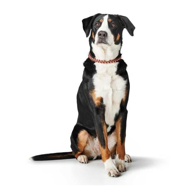 Halsung Tinnum - rot/beige