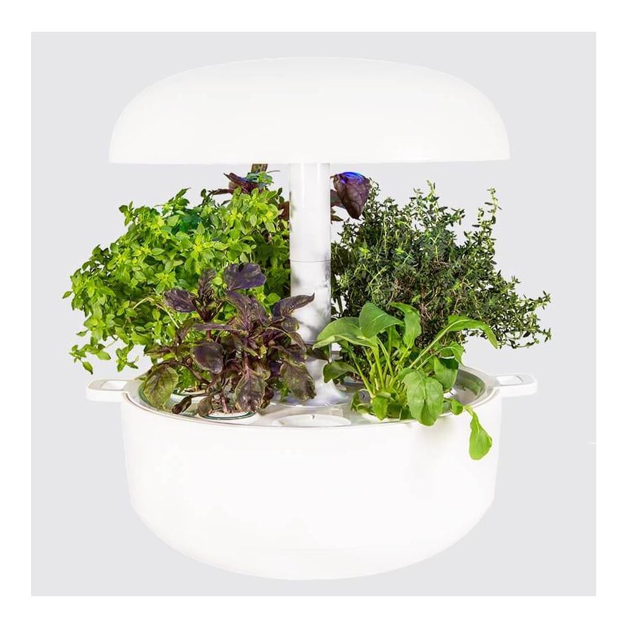 Image of Plantui Smart Garden 6 - weiss bei Hauptner.ch