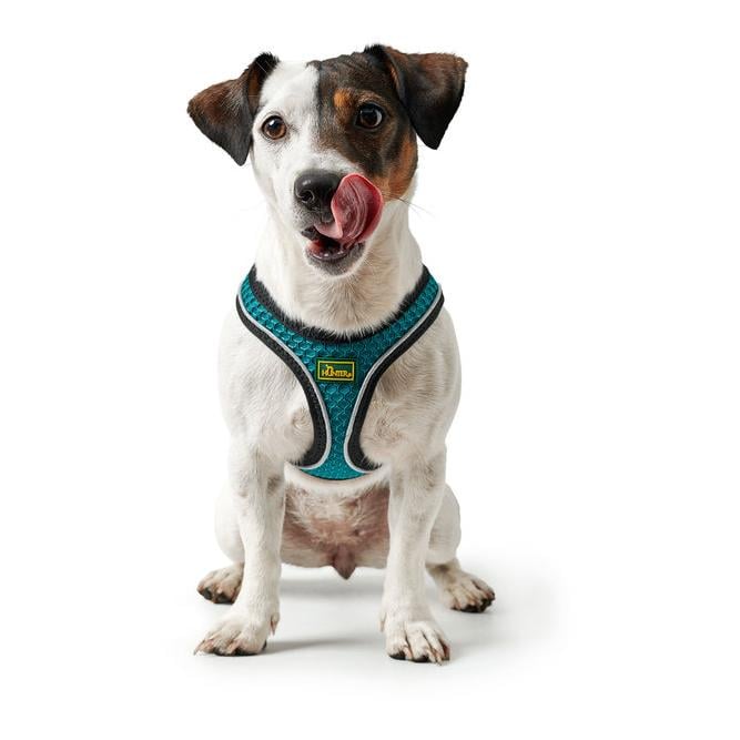 Hundegeschirr Hilo Comfort - grau