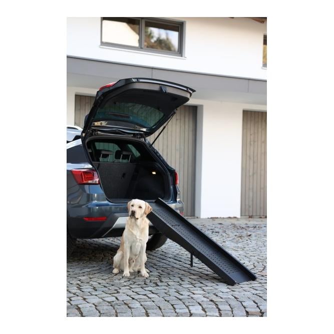 Rampe pour chiens
