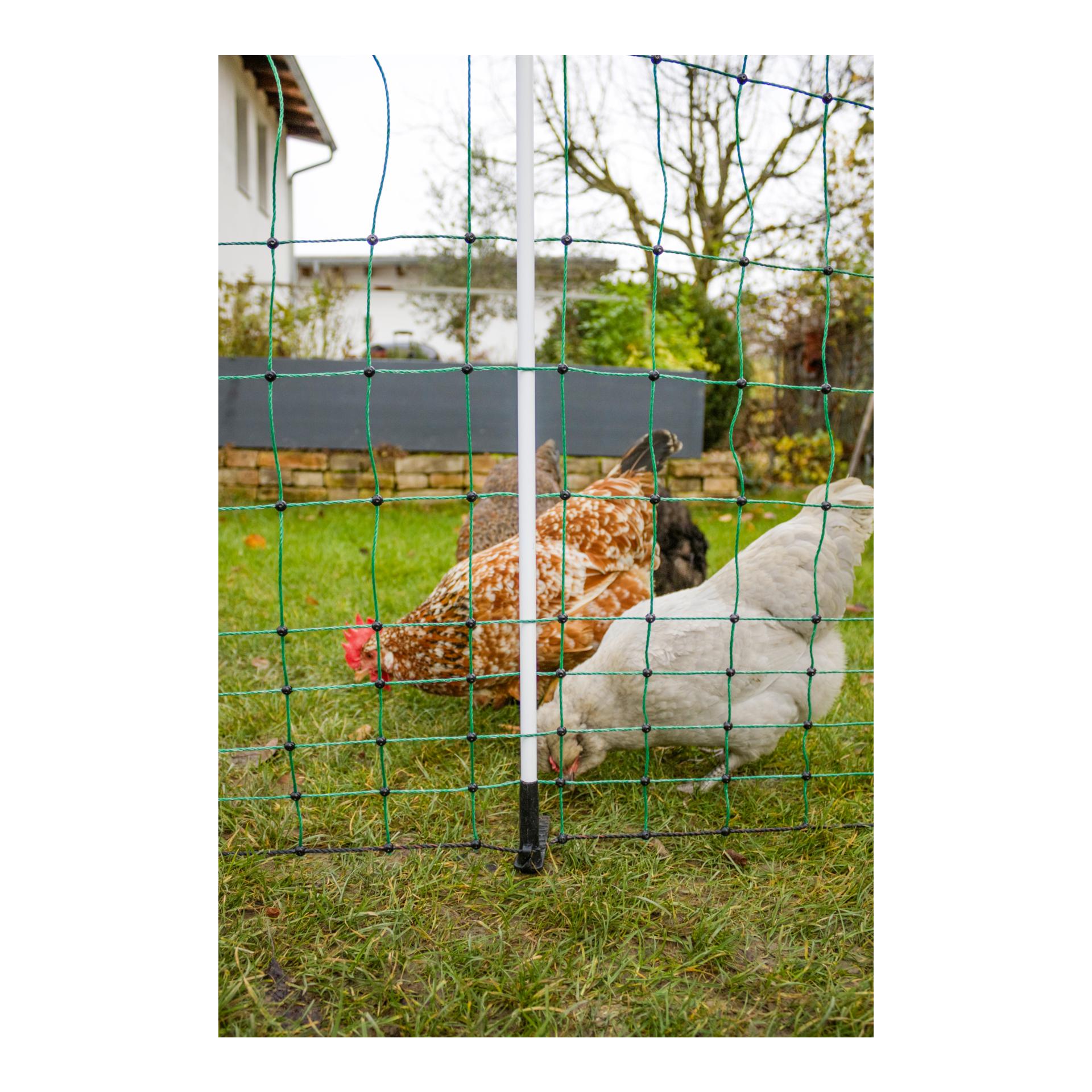 AKO Geflügelnetz PoultryNet Maxi - Doppelspitz