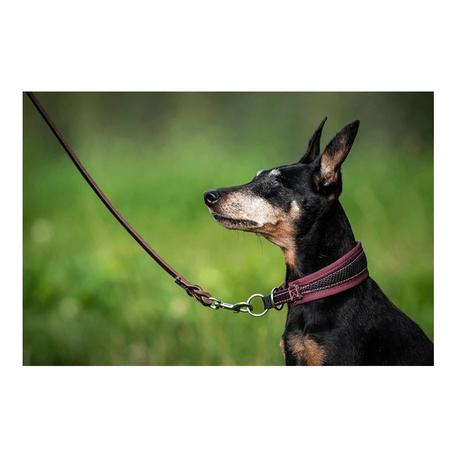 Laisse à pister en cuir gras