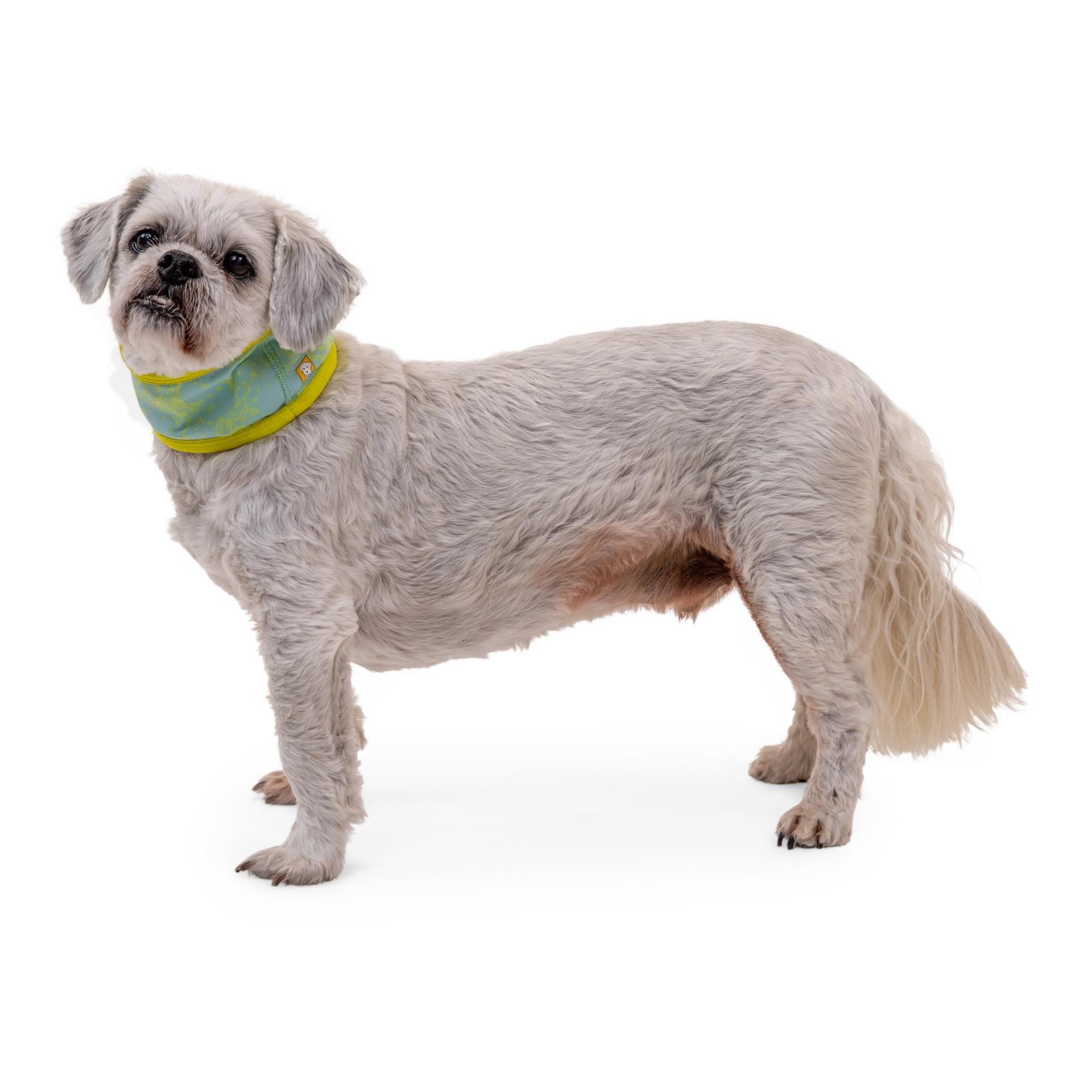 Swamp Cooler™ Halstuch