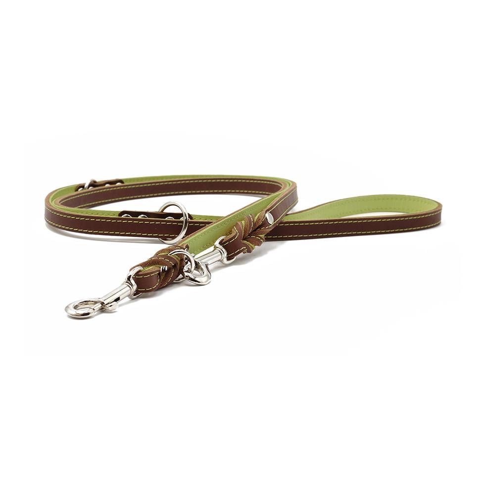 Lederleine Klassik Premium Sommer Edition - mokka-pistazie/silber