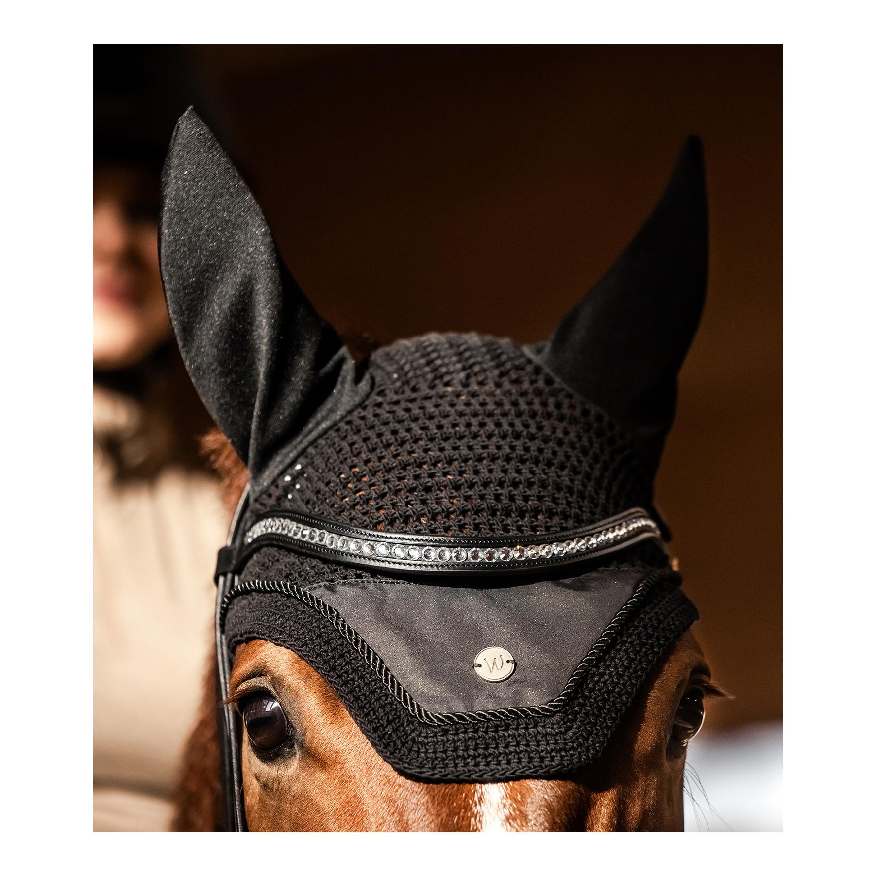 Fliegenohren Phoenix