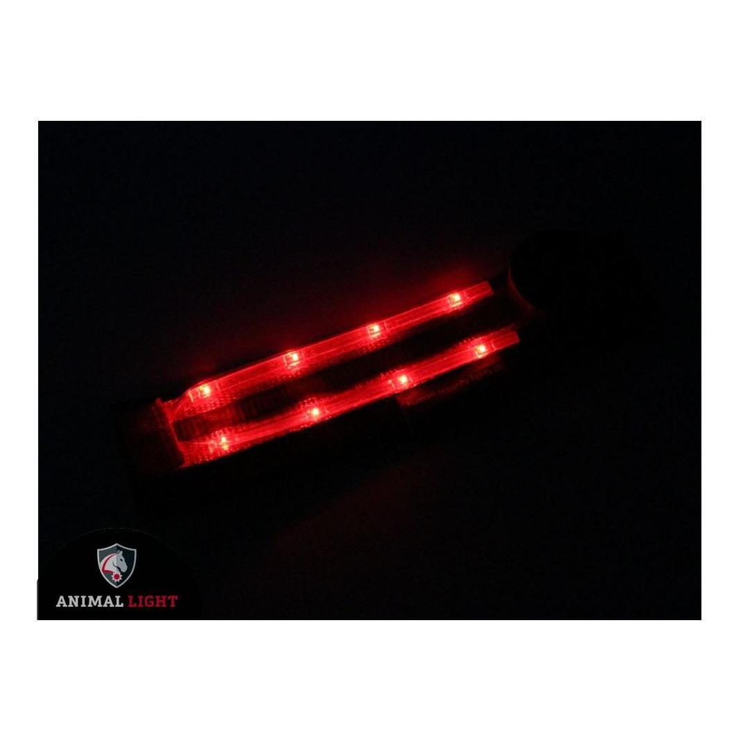 Image of Animal Light Leucht - Hundegeschirr "Flex" - rot bei Hauptner.ch