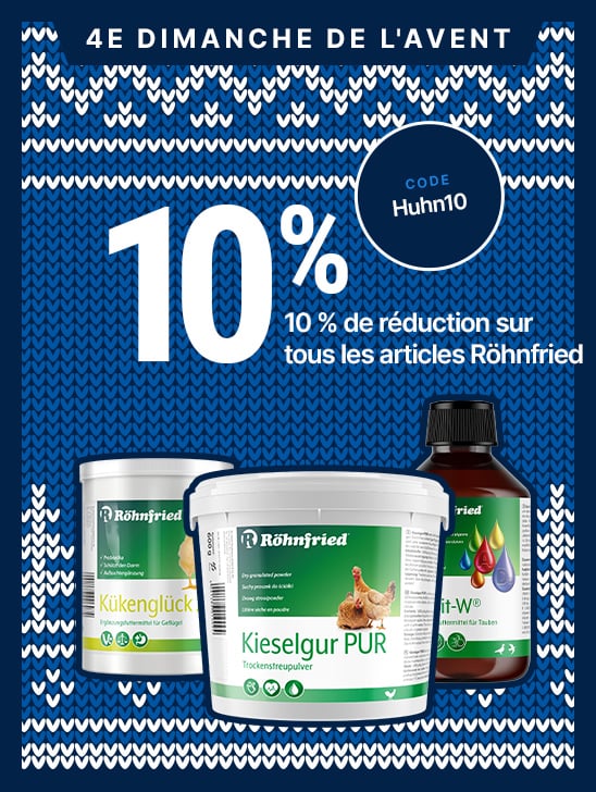 HP-Adventsaktionen-EKW-548x728-2x-startpage-FR-4