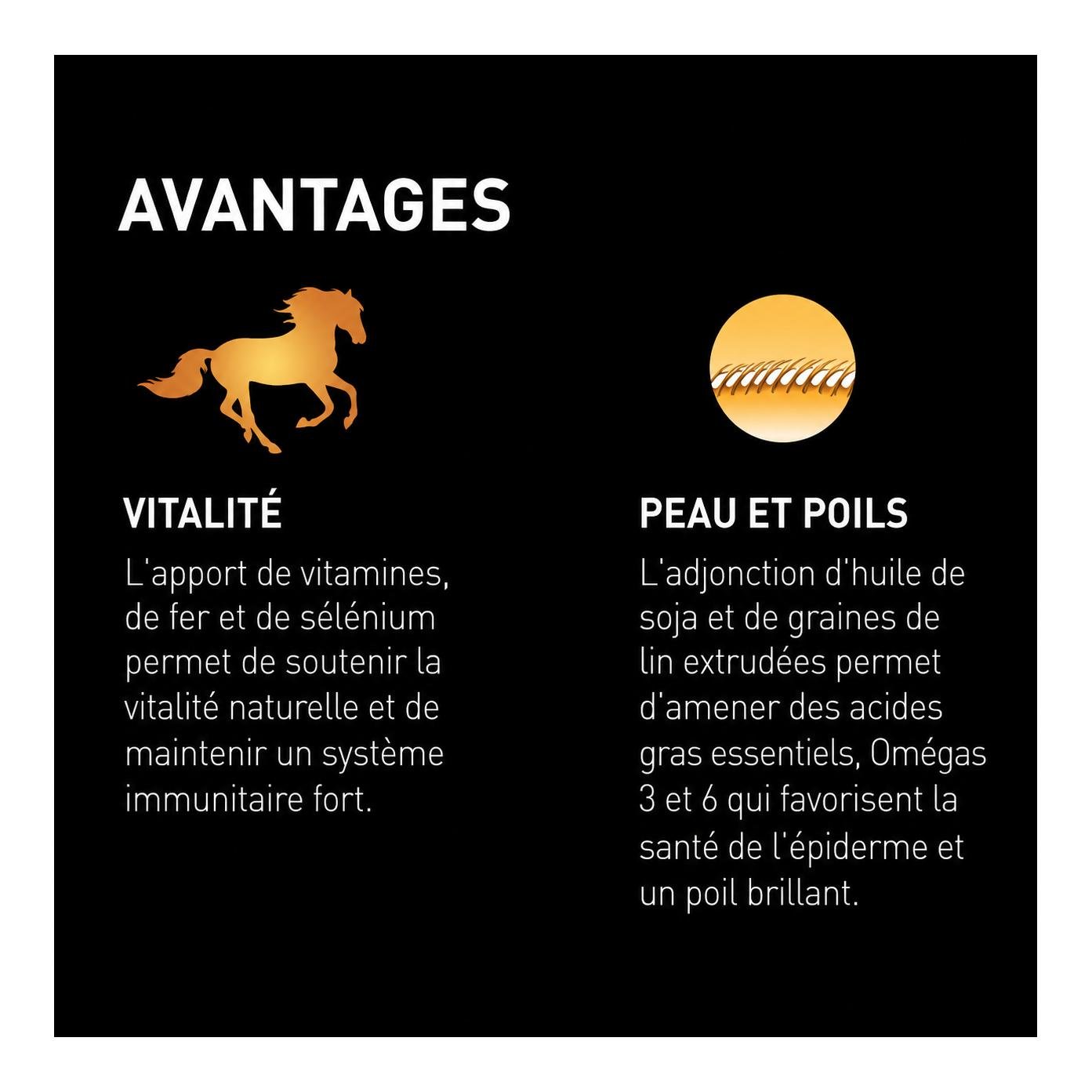 granovit Cavallo Corn-Mix avec avoine – Aliment pour chevaux de sport & de loisir, granulés et flocons
