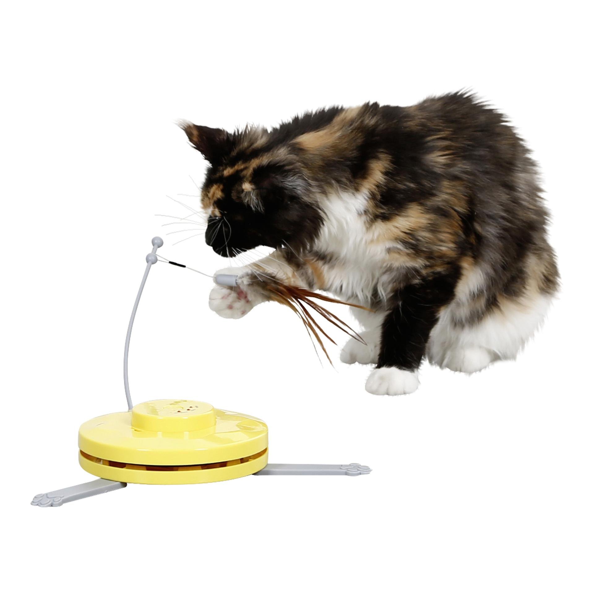 Katzenspielzeug automatisch 2in1