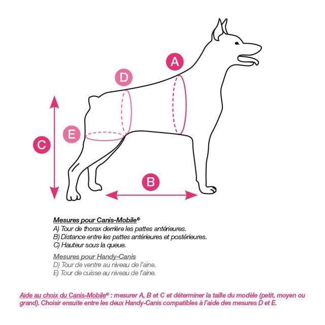 Canis Mobile Handy Grand Modele Harnais