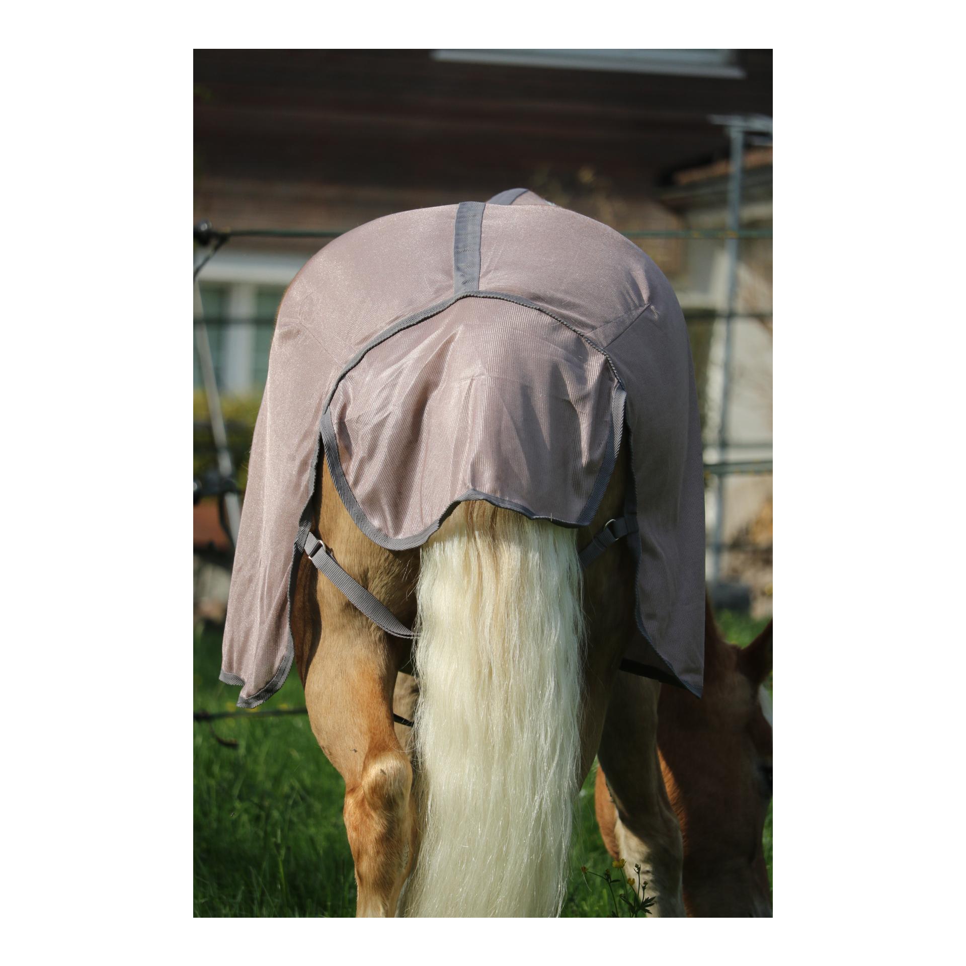 Stallone Walker-Fliegendecke