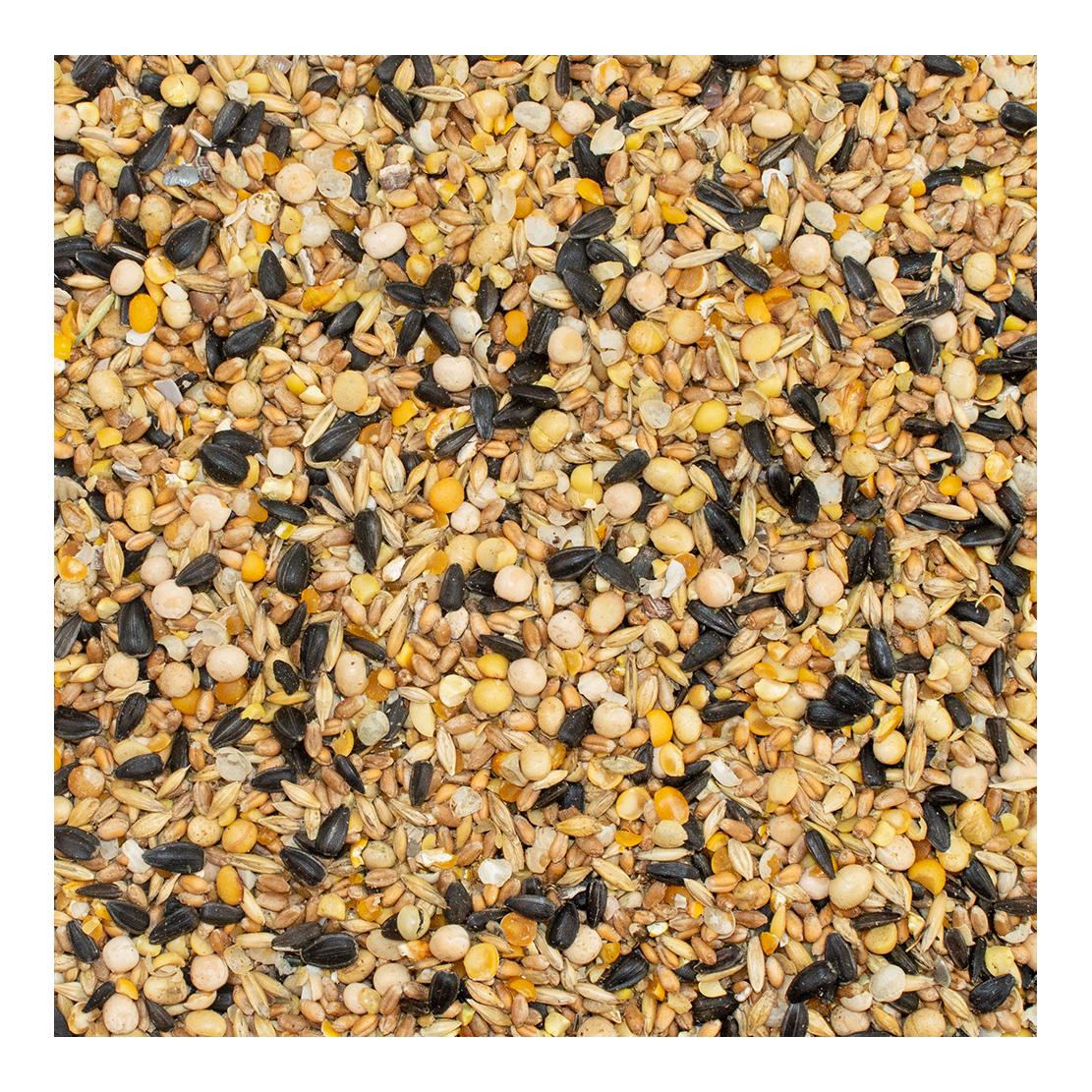 My Little Farm Bio Wachtelkorn