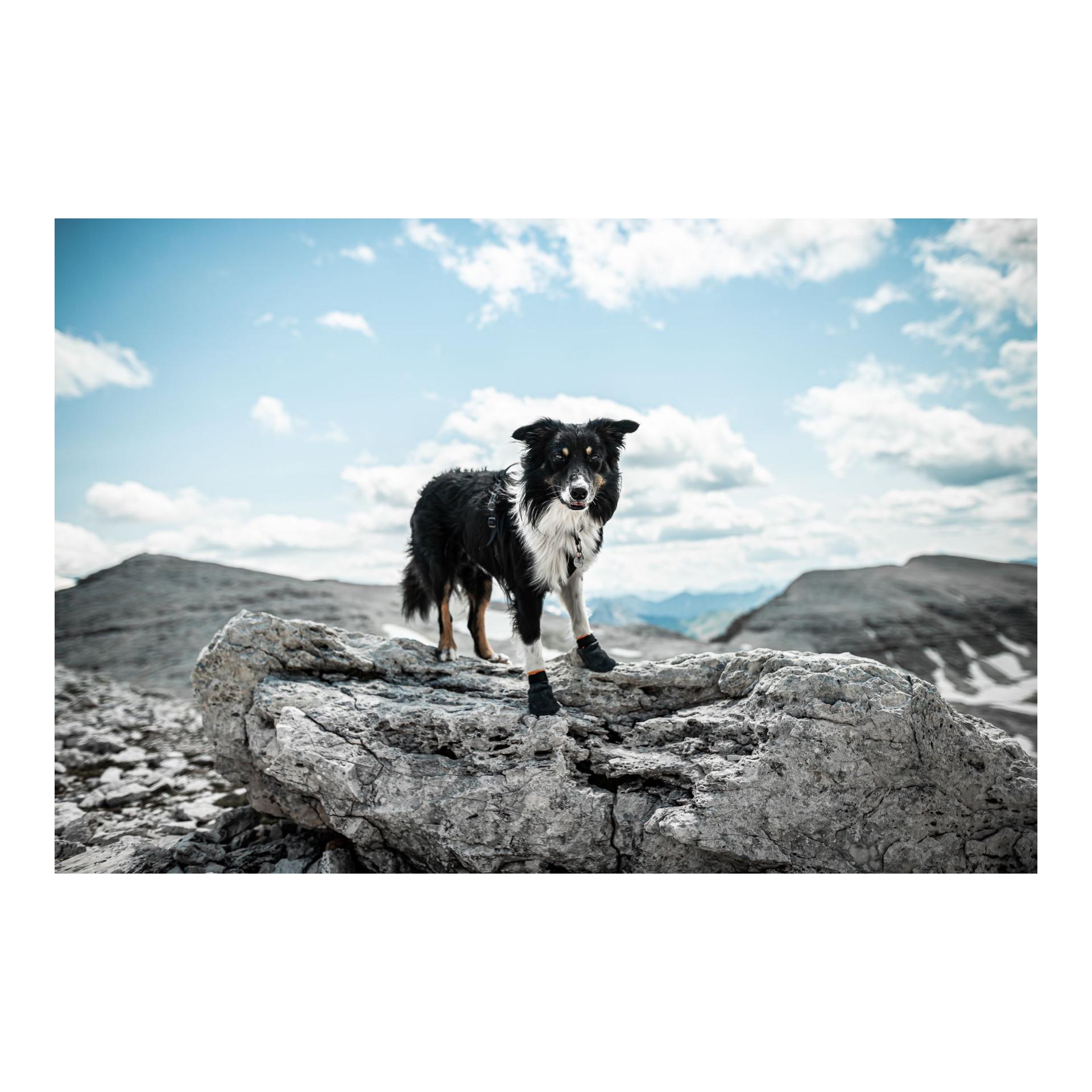 Protector Booties, 4 pièces