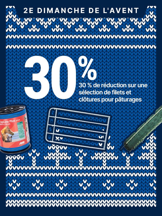 HP-Adventsaktionen-EKW-548x728-2x-startpage-FR-2