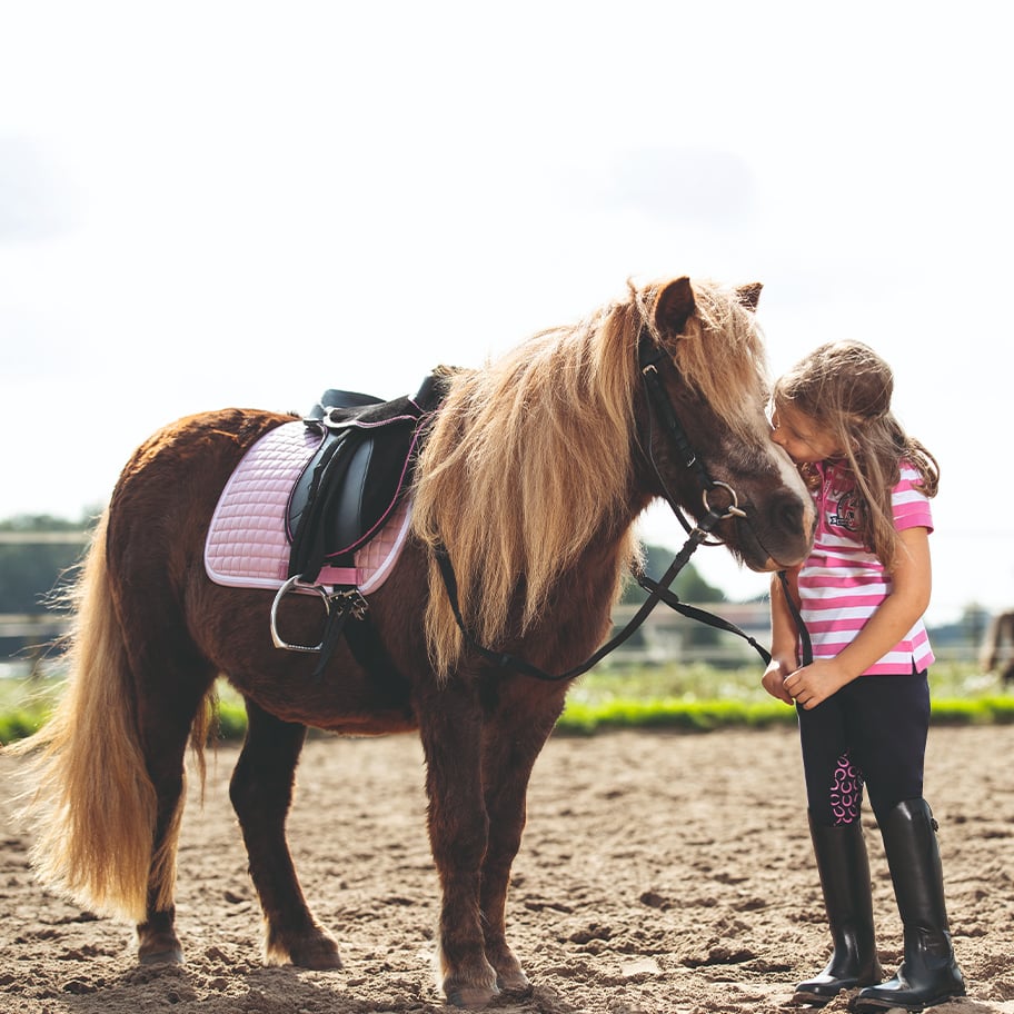 HP-NeuKategorie-456x456-x2-Pony