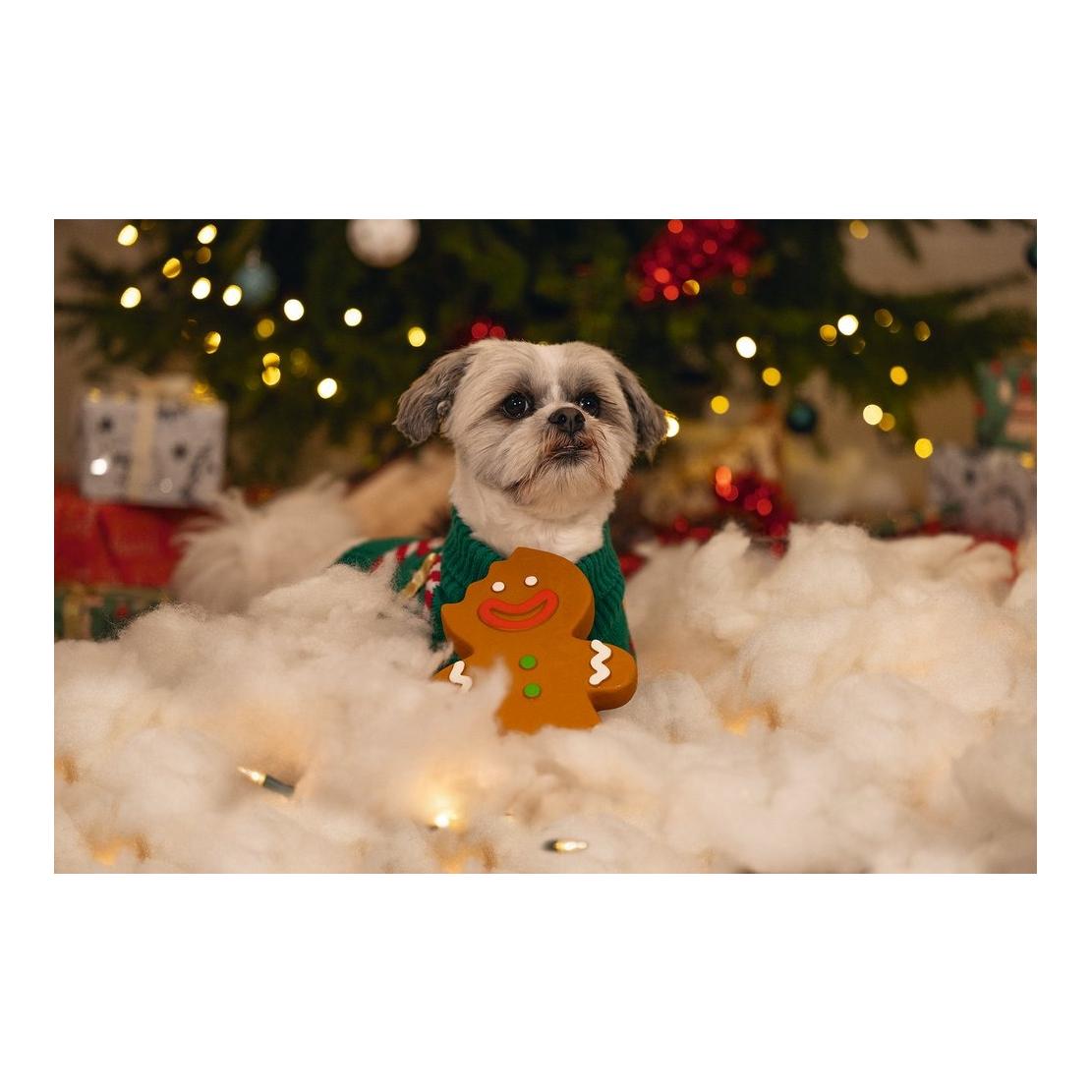 Hundespielzeug Latex Lebkuchenmann