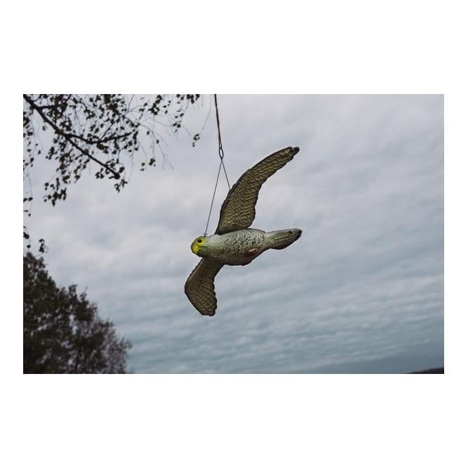 Anti-oiseaux - faucon volant