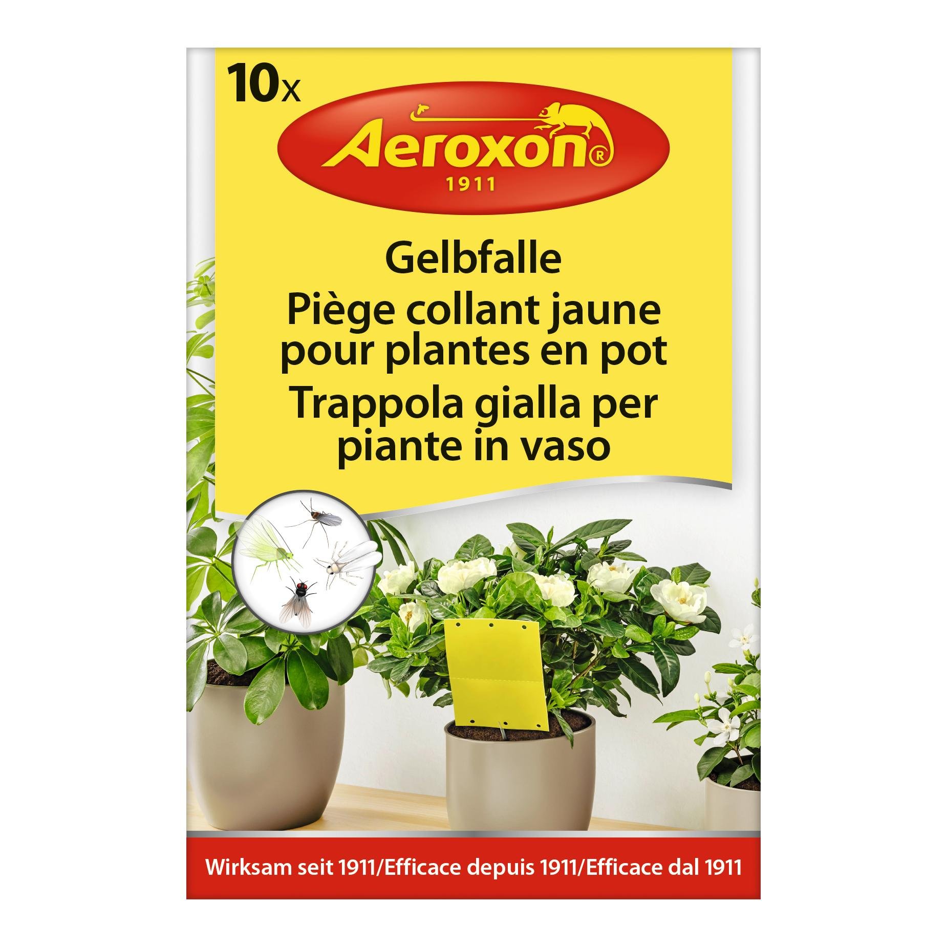 Image of Aeroxon Gelbfalle für Topfpflanzen bei Hauptner.ch