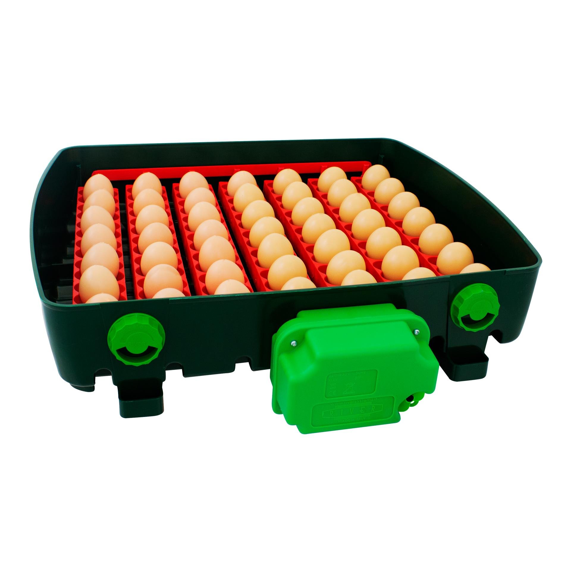 Automatische Brutmaschine Et Super mit Eierwender