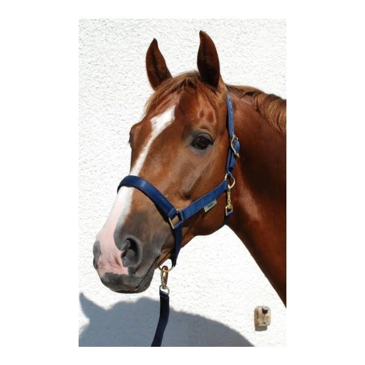 Halfter Dublin - navy