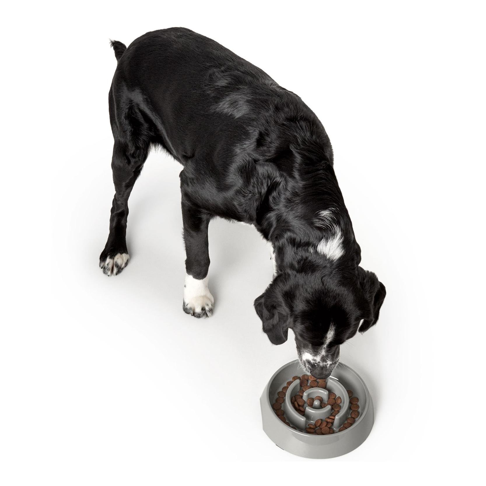 Gamelle anti-glissement Atlanta - gris