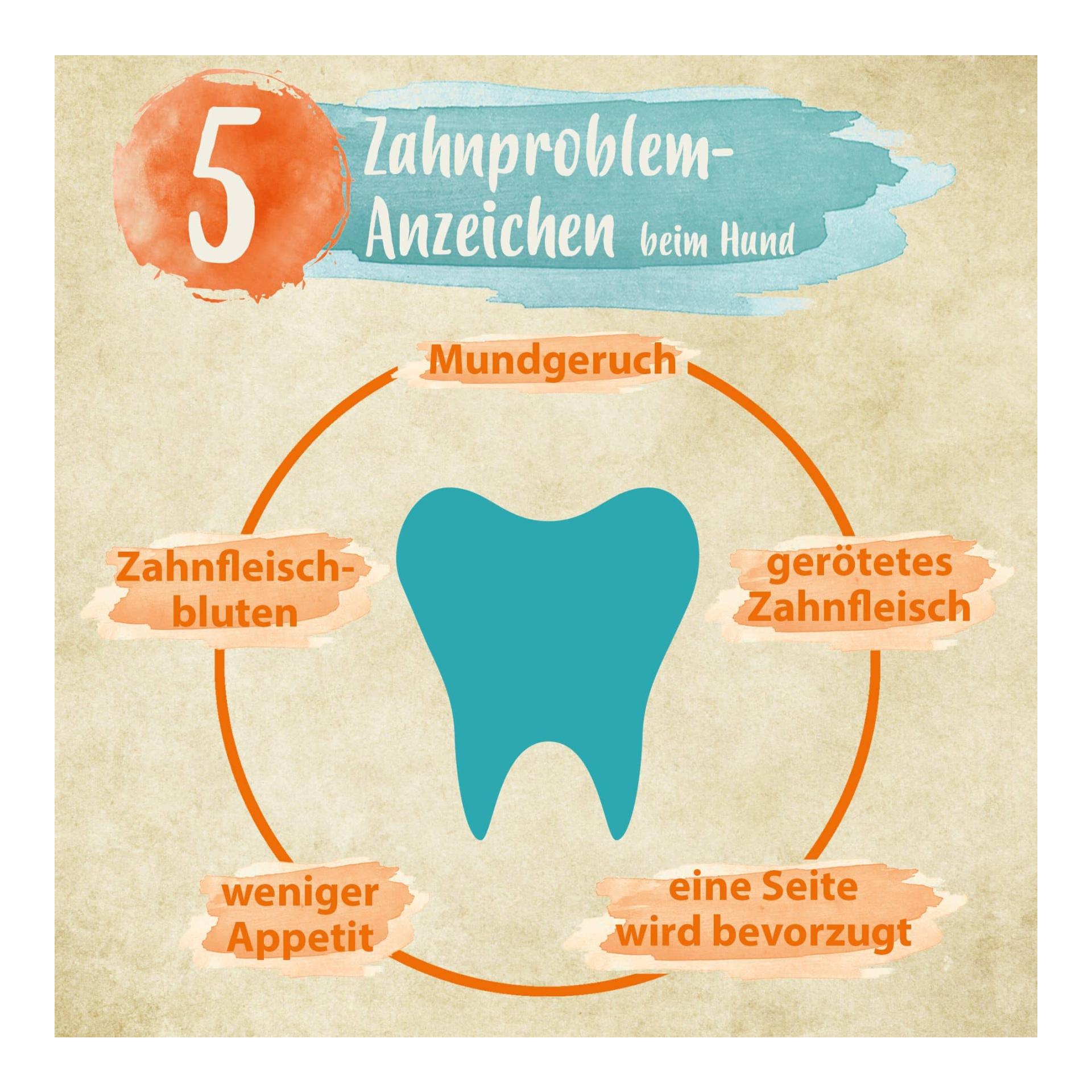 Denta Dog - kinderleichte Hunde Zahnpflege - stoppt Hunde Mundgeruch