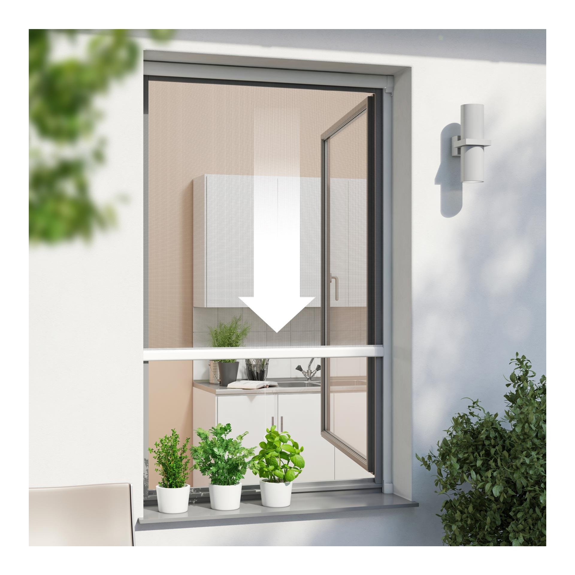 Windhager Insektenschutz-Rollo für Fenster Plus - weiss