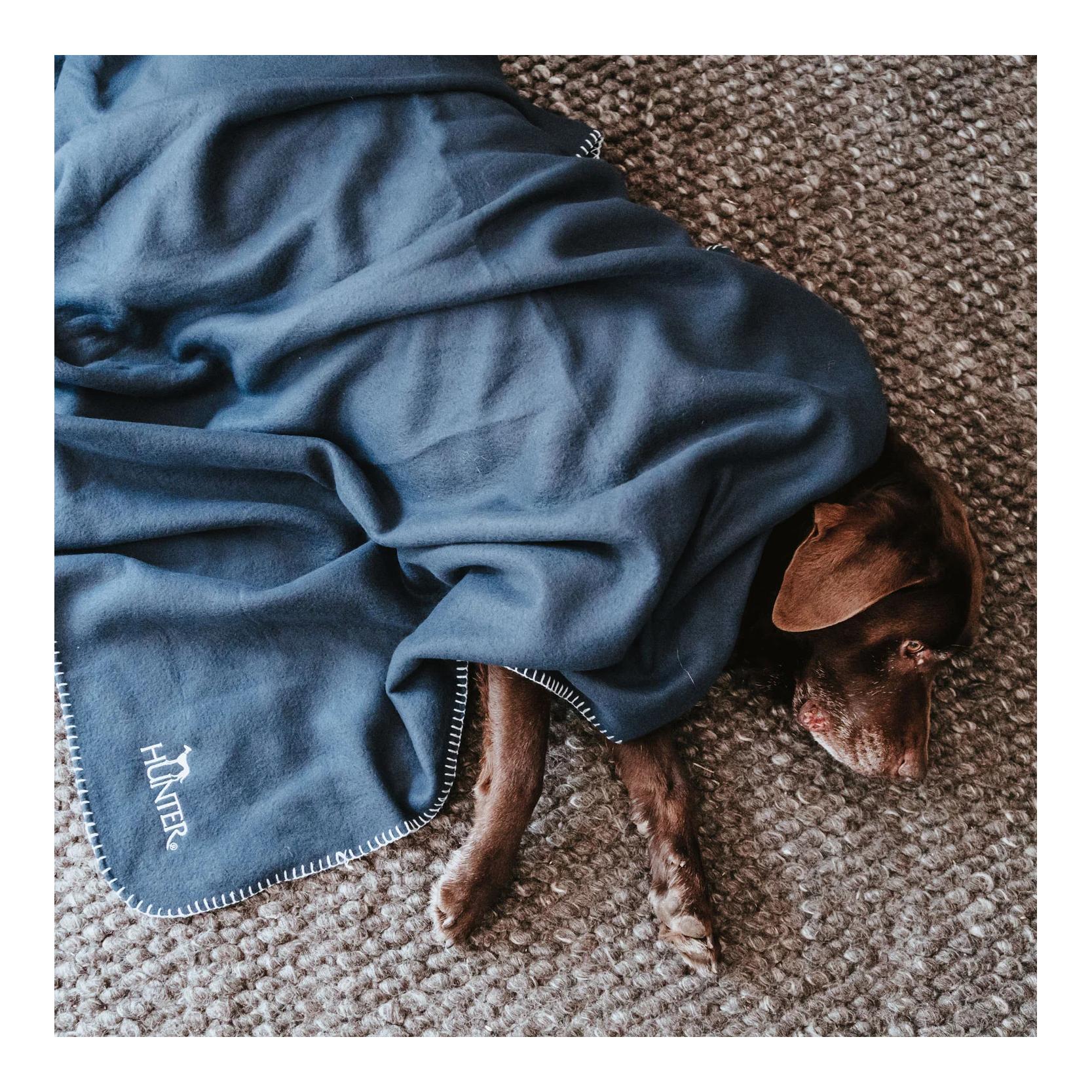 Hundedecke Casper