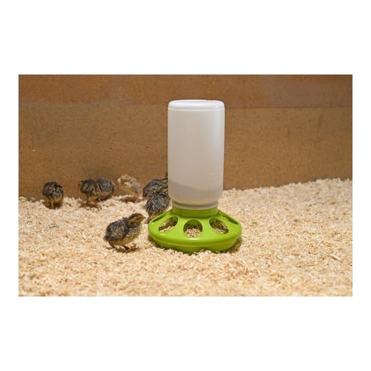 Wachtel-Futterautomat