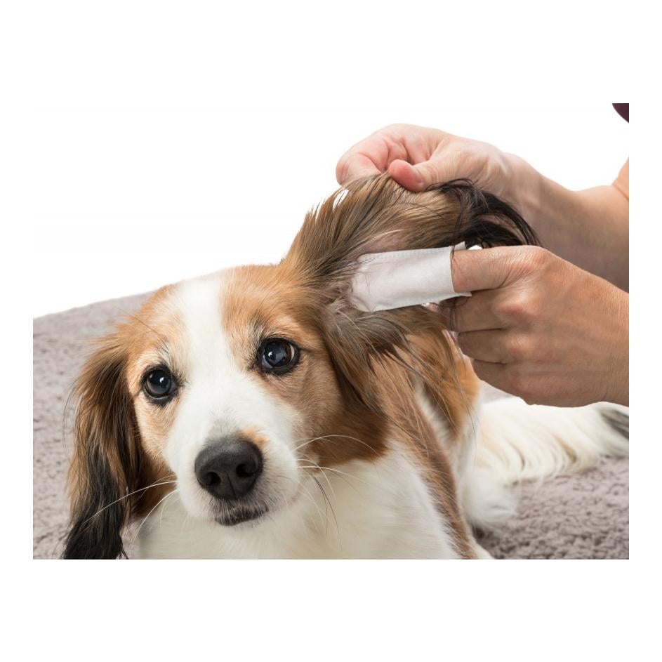 Ohrenpflege Einweg-Fingerpads