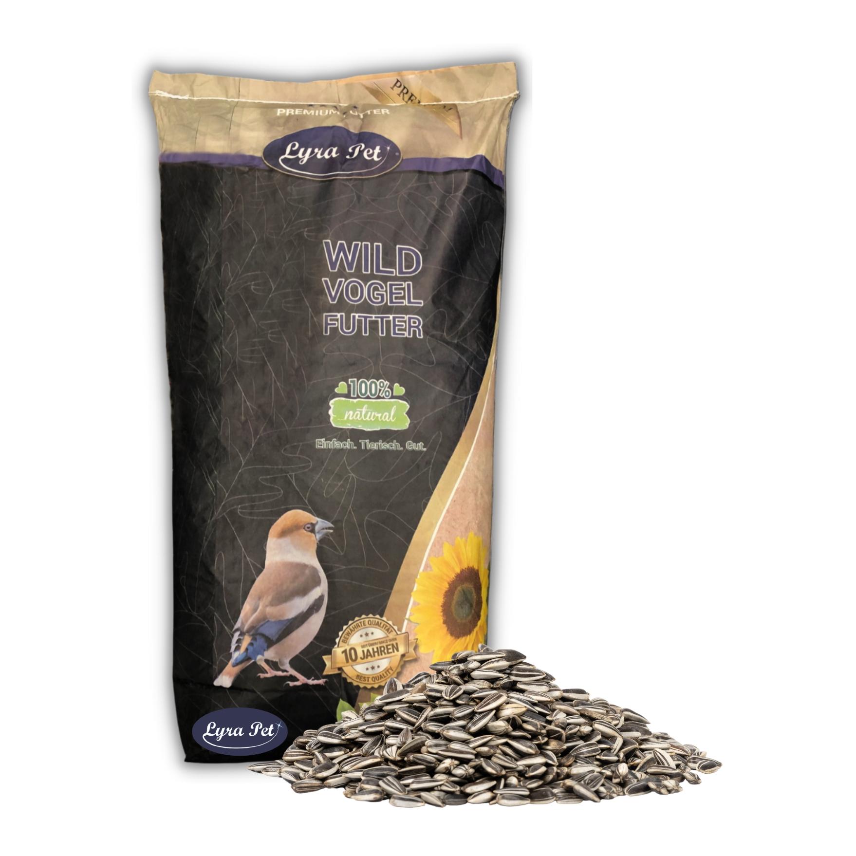 Mélange de graines premium sans céréales pour oiseaux sauvages