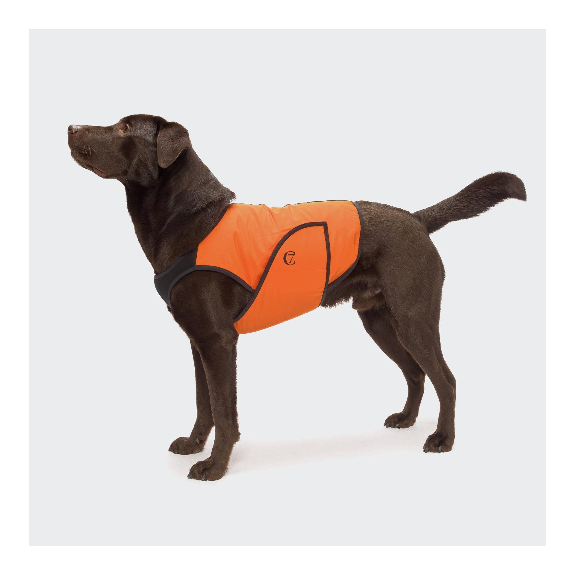 Gilet de refroidissement pour chiens Iceland