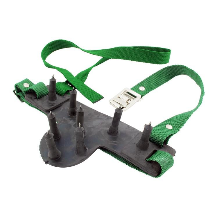 Image of Mainer Saugschutz mittel für Kälber - Grün - bei Hauptner.ch