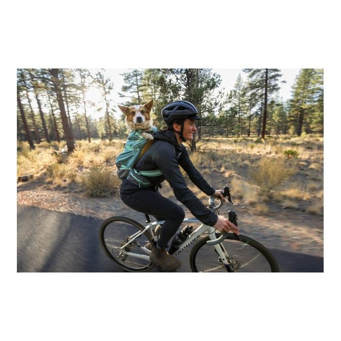 Hundetragetasche Hitch Hiker