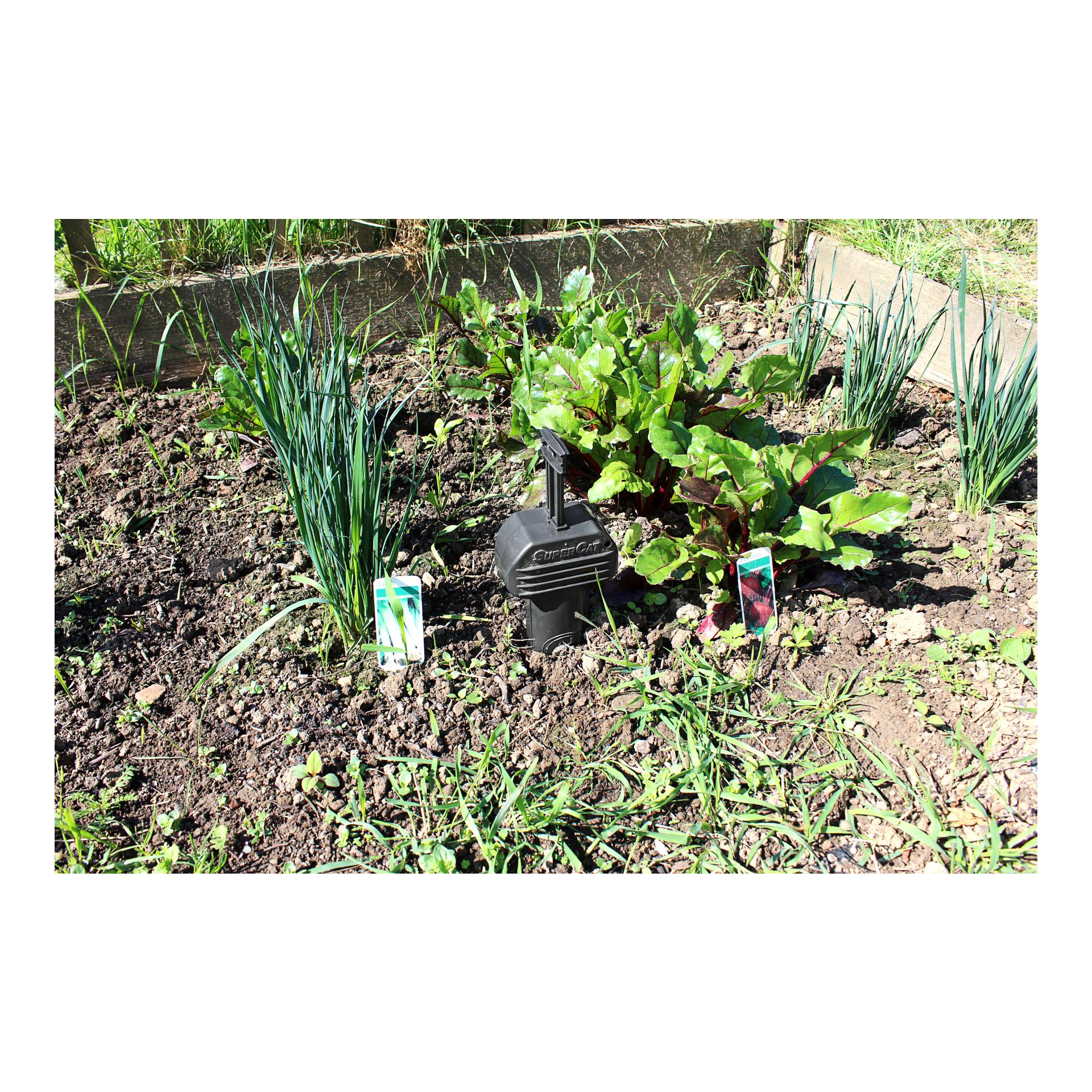 Wühlmausfalle Pro Supercat