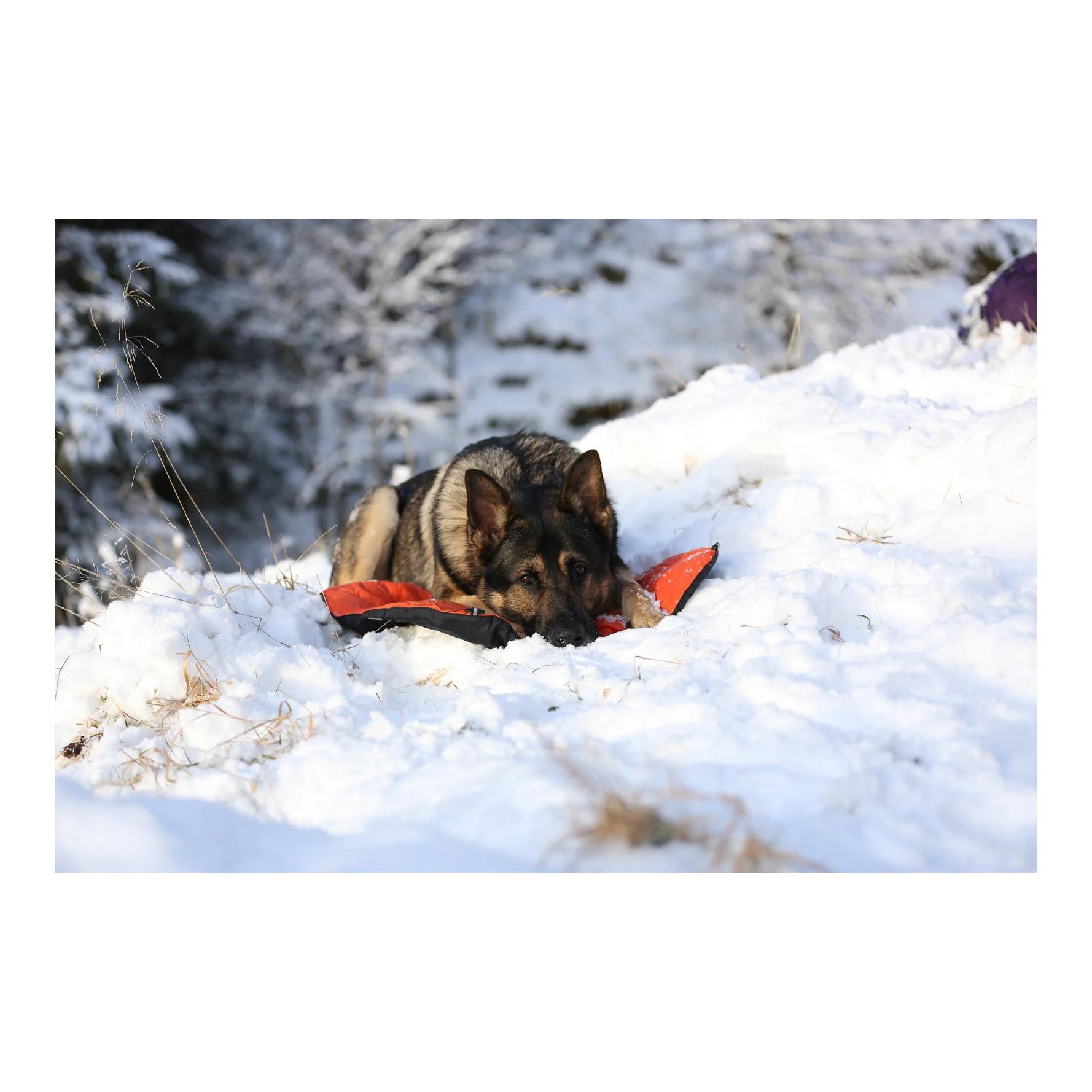 Hundebett Protector Bivvy