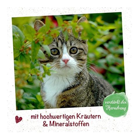 feliTATZ HarnwegeWohl 