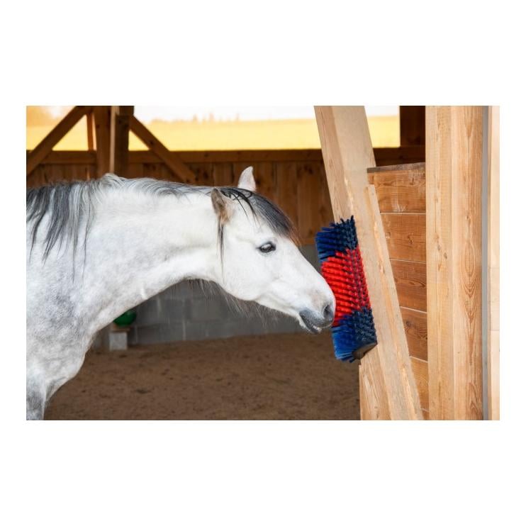 Brosse à gratter XL