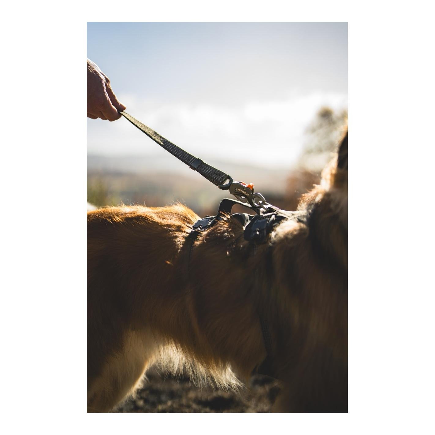 Ruffwear Ridgeline™ Hundeleine