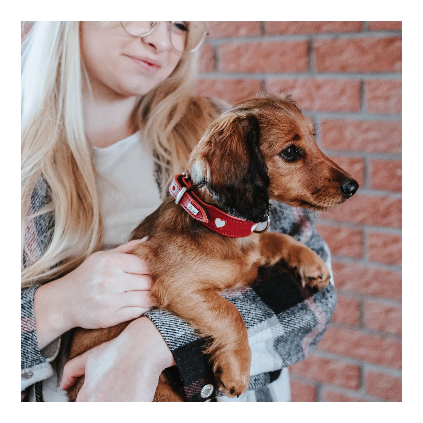 Hunter Halsband Love 