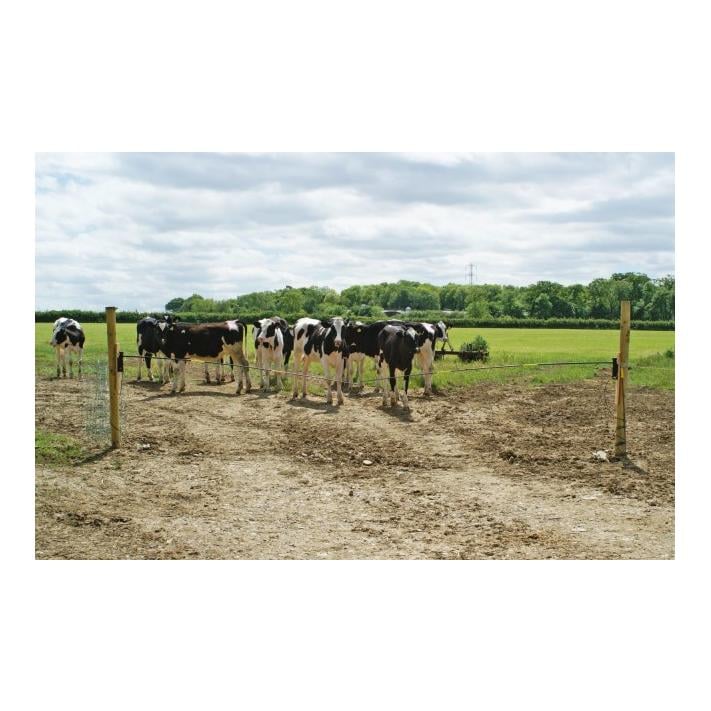 Weidezaun-Torwächter Set