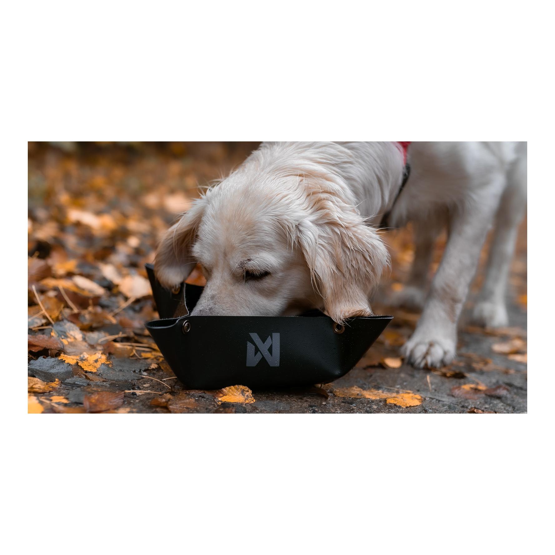 Reisenapf Trekking Bowl