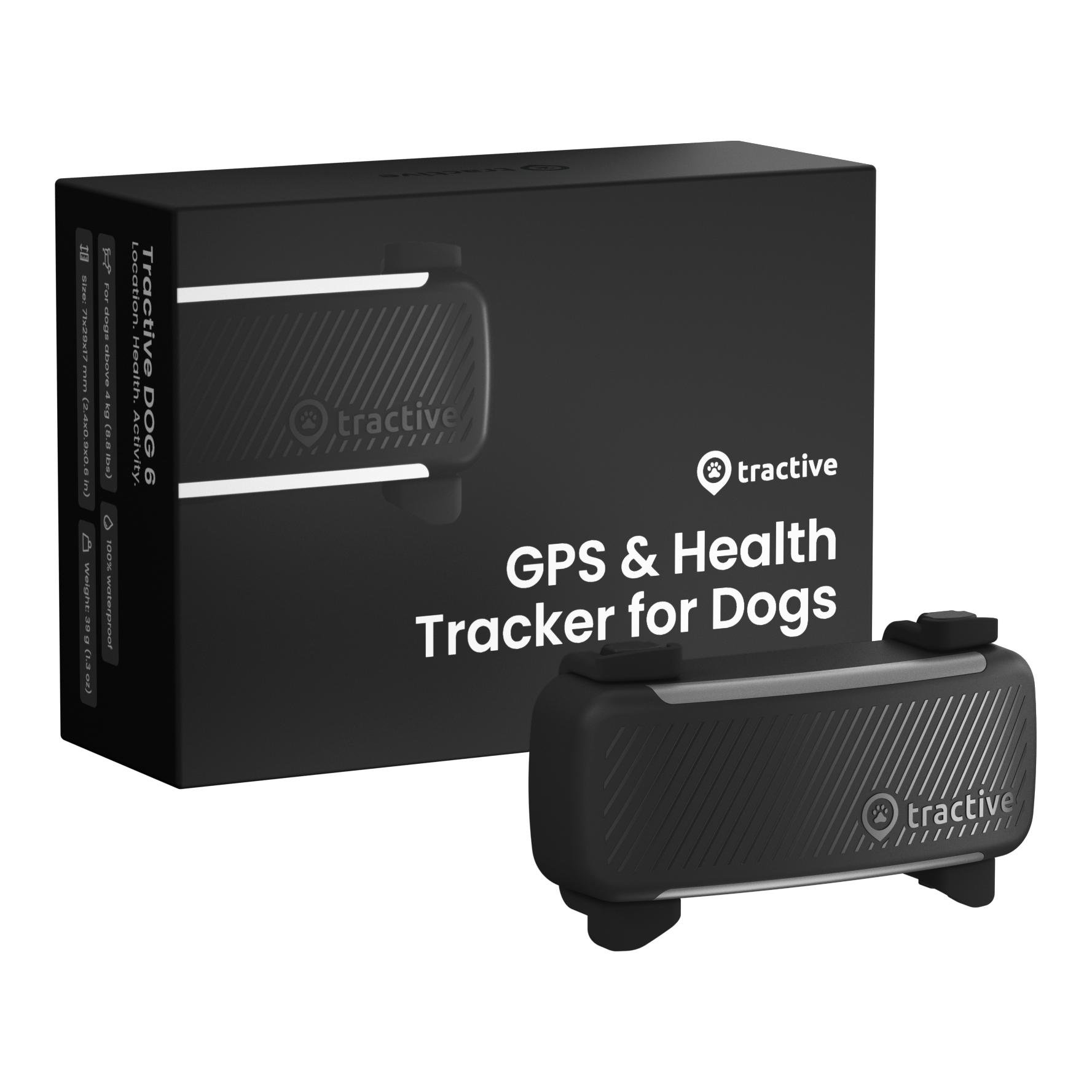 Tracker GPS pour chiens DOG 6