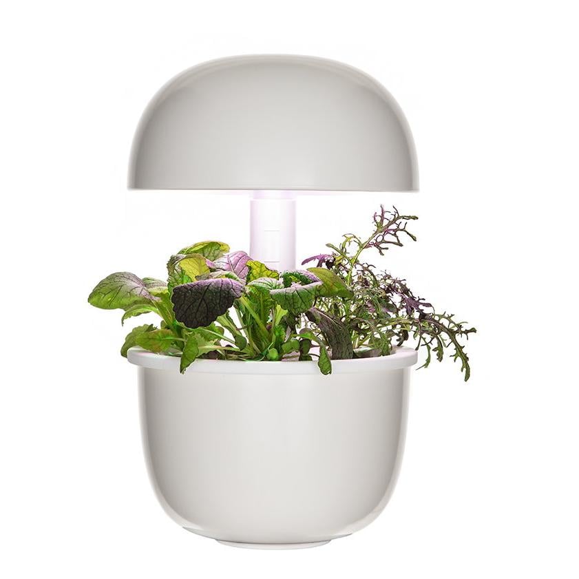 Image of Plantui Smart Garden 3e - Weiss - bei Hauptner.ch