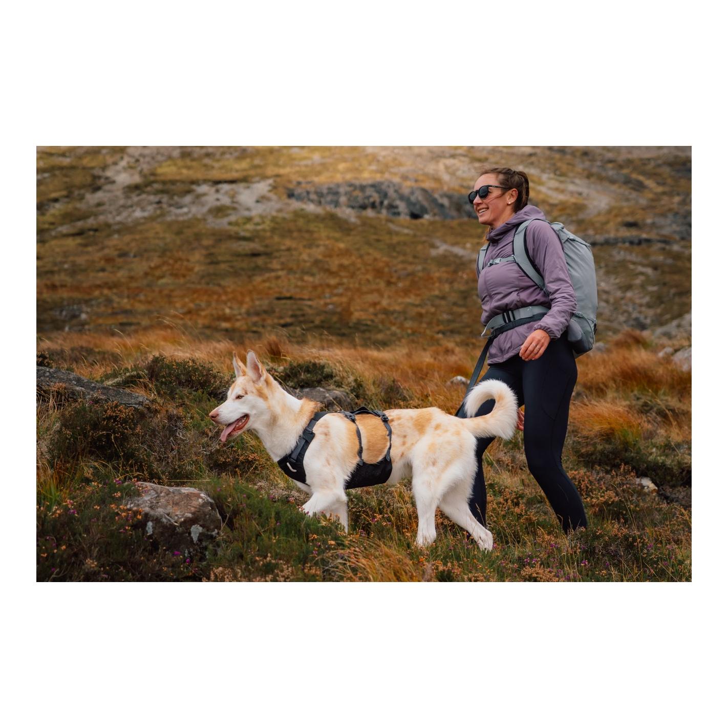 Ruffwear Ridgeline™ Hundegeschirr
