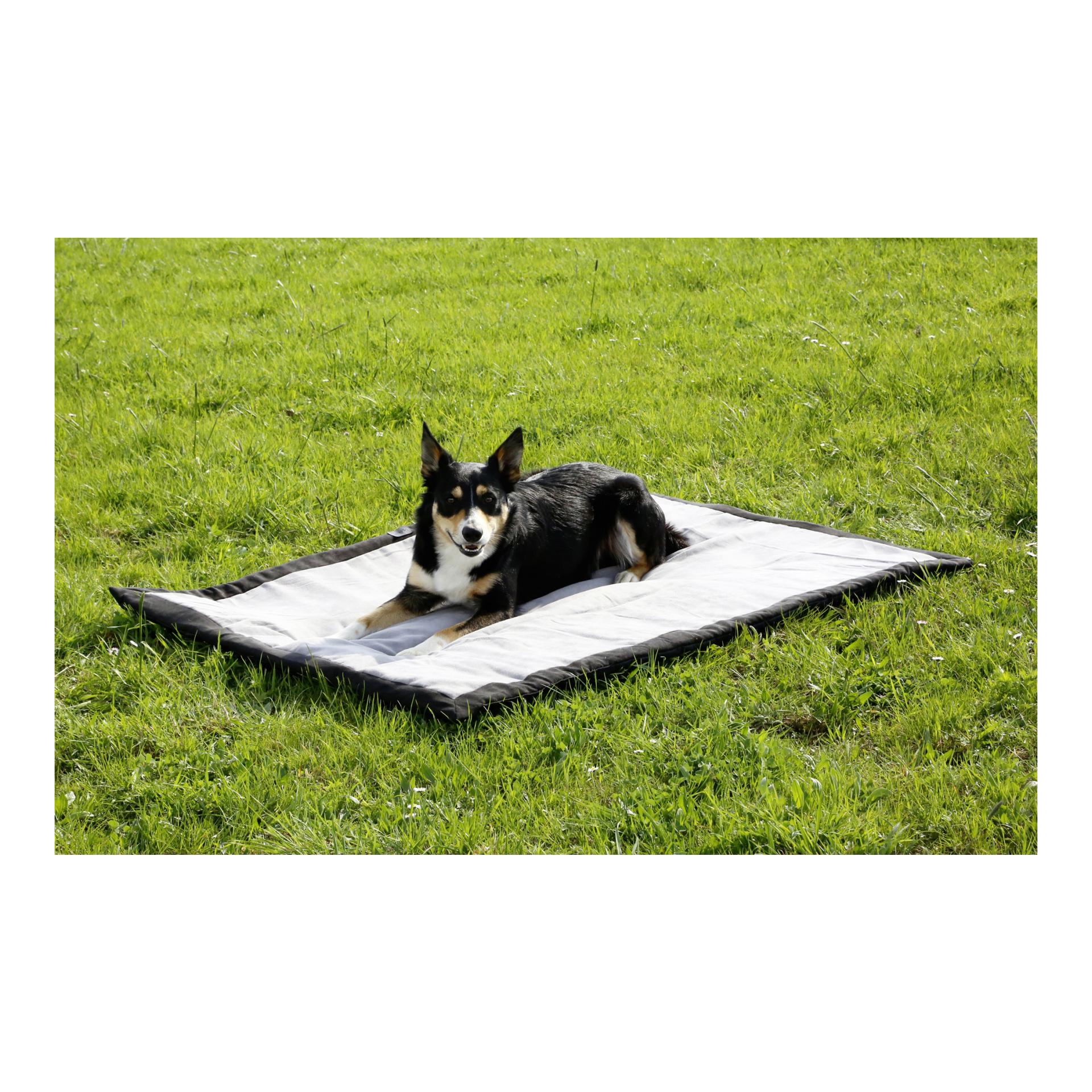 Tapis pour chien Trip - gris/noir