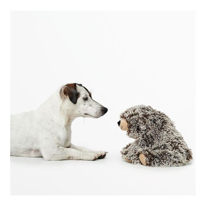 Jouet pour chien Faro - Ours