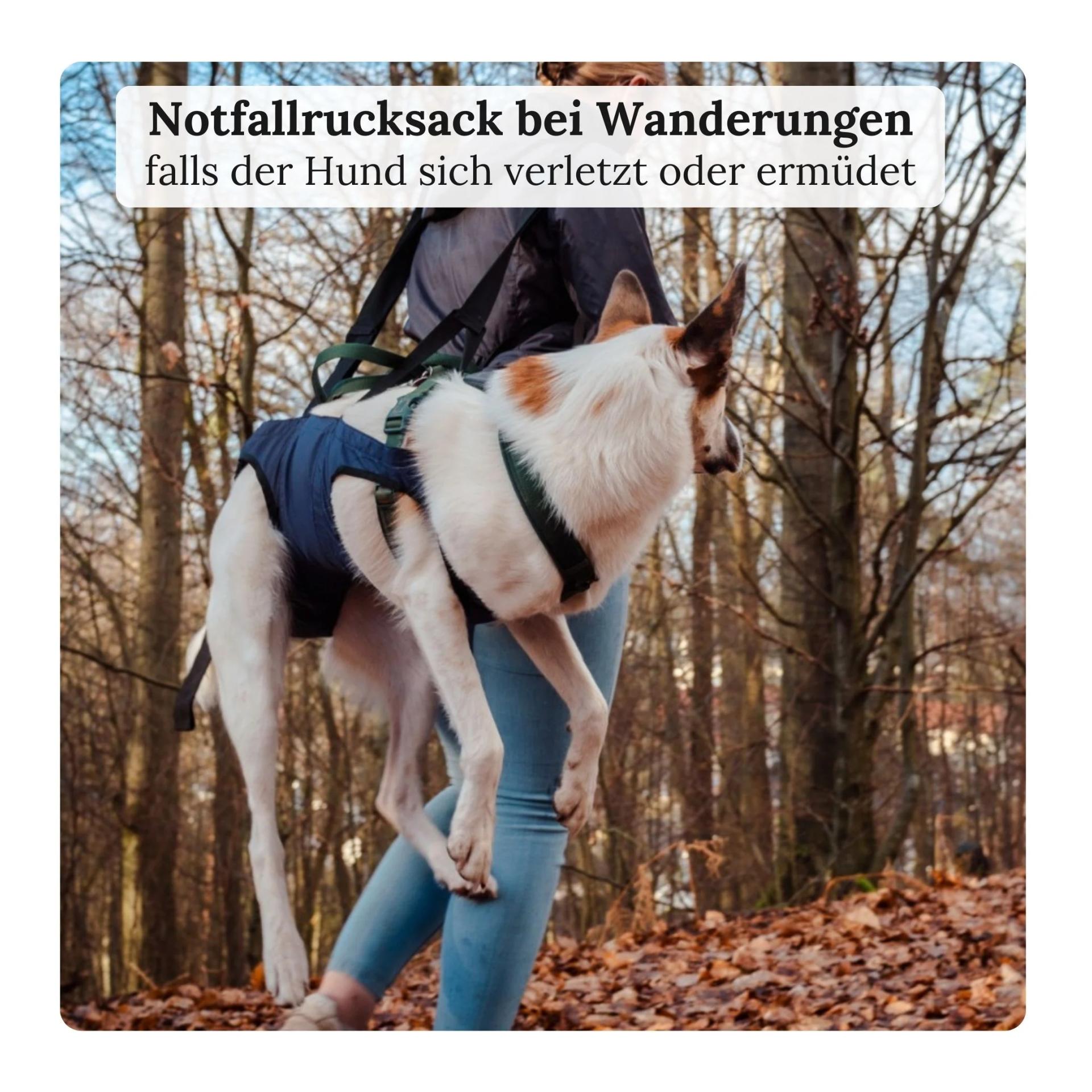 Notfallrucksack & Tragehilfe für Hunde 